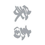 ^gD[V[@ƒ{i≡j@TCY()